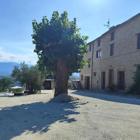 Graziesole Pietra