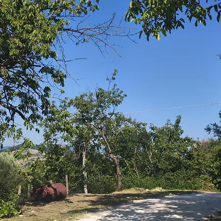 Graziesole Pietra Penna San Giovanni