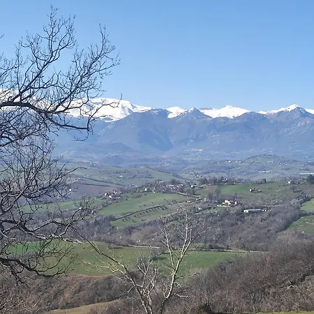 Graziesole Pietra *