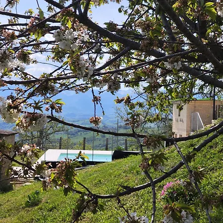 Graziesole Pietra