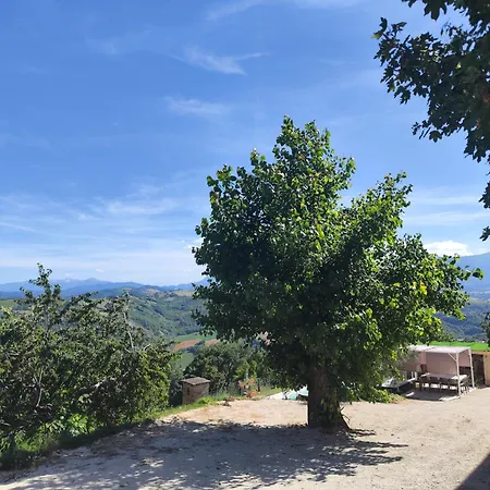 Graziesole Pietra