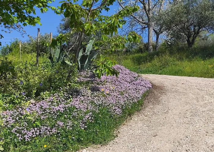 Graziesole Pietra * Penna San Giovanni