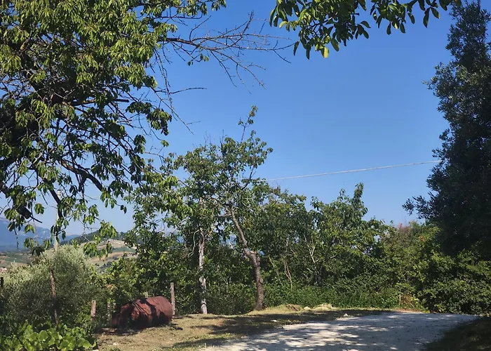 Graziesole Pietra Penna San Giovanni